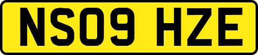 NS09HZE