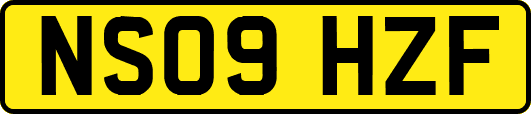 NS09HZF