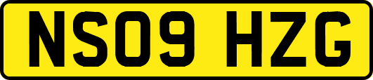 NS09HZG