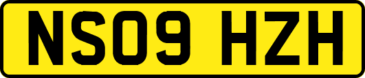 NS09HZH