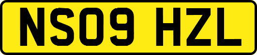 NS09HZL