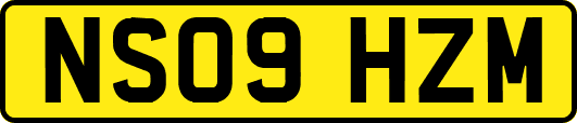NS09HZM