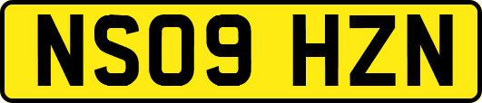 NS09HZN
