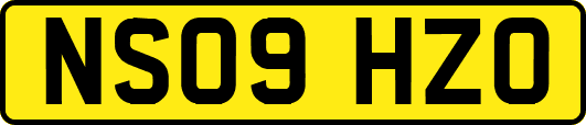 NS09HZO