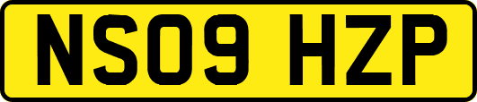 NS09HZP