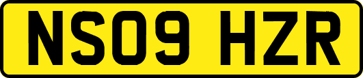 NS09HZR