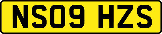 NS09HZS