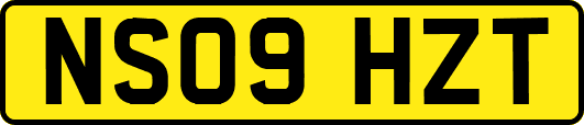 NS09HZT