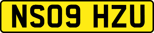 NS09HZU