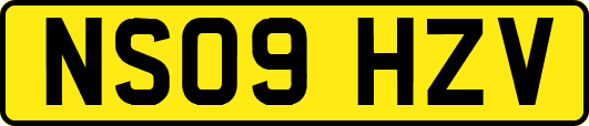 NS09HZV