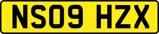 NS09HZX