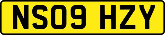 NS09HZY