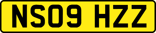 NS09HZZ