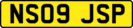 NS09JSP