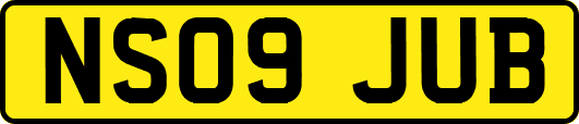 NS09JUB
