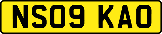 NS09KAO