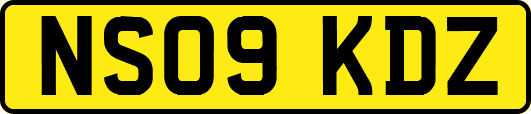 NS09KDZ