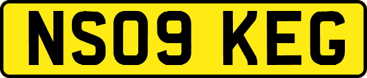 NS09KEG