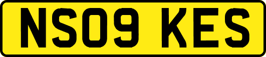 NS09KES