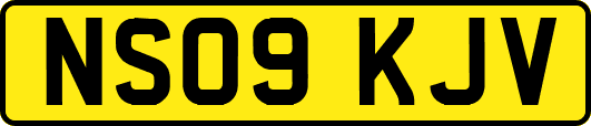 NS09KJV