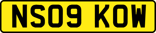NS09KOW