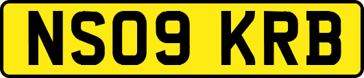 NS09KRB