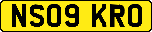 NS09KRO