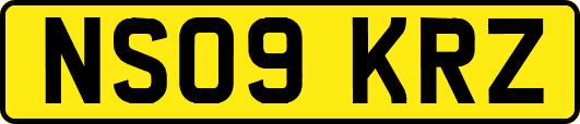 NS09KRZ