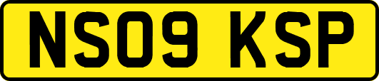 NS09KSP