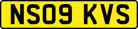 NS09KVS