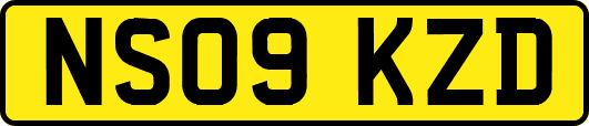 NS09KZD