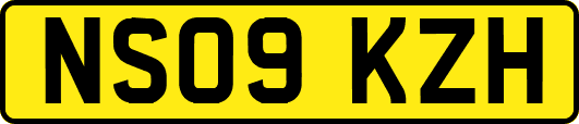NS09KZH
