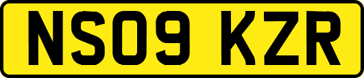 NS09KZR