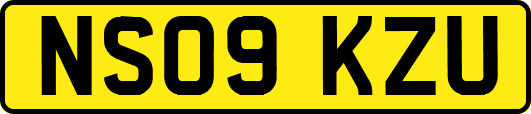 NS09KZU