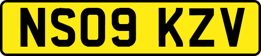 NS09KZV