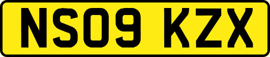 NS09KZX