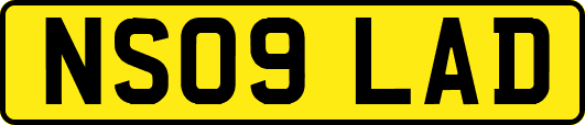 NS09LAD