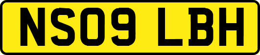 NS09LBH