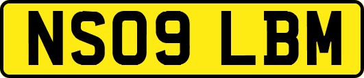 NS09LBM