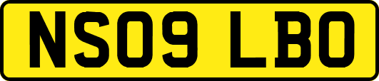 NS09LBO