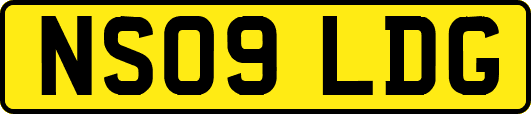 NS09LDG