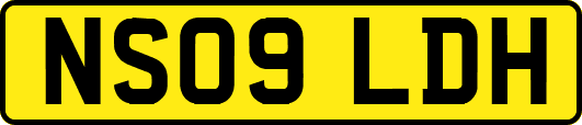 NS09LDH