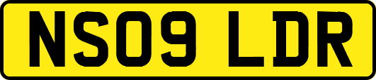 NS09LDR