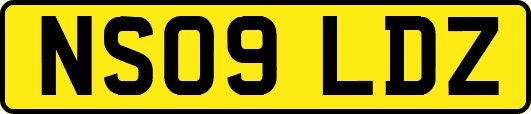 NS09LDZ
