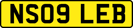 NS09LEB