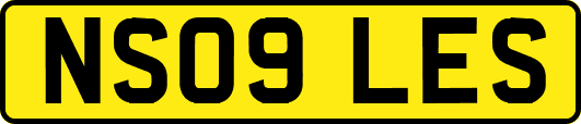 NS09LES