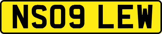 NS09LEW