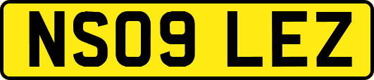 NS09LEZ