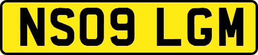 NS09LGM