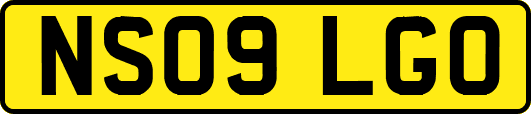 NS09LGO